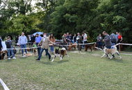 Zalaegerszeg CAC (H)