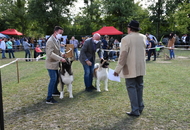 Zalaegerszeg CAC (H)