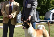 Zalaegerszeg CAC (H)