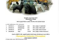 CACIB Dog Show Pápa (H)