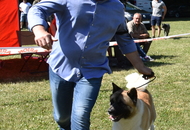 St Hubertus Hunting Dog Show CAC Kaposvár (H) & Jubilee Hunting Dog Show CAC Kaposvár (H)