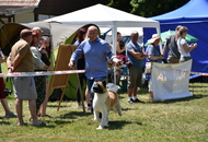 St Hubertus Hunting Dog Show CAC Kaposvár (H) & Jubilee Hunting Dog Show CAC Kaposvár (H)