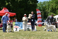 St Hubertus Hunting Dog Show CAC Kaposvár (H) & Jubilee Hunting Dog Show CAC Kaposvár (H)