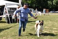 St Hubertus Hunting Dog Show CAC Kaposvár (H) & Jubilee Hunting Dog Show CAC Kaposvár (H)