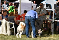 St Hubertus Hunting Dog Show CAC Kaposvár (H) & Jubilee Hunting Dog Show CAC Kaposvár (H)