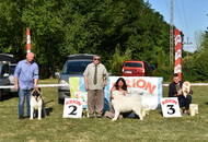 St Hubertus Hunting Dog Show CAC Kaposvár (H) & Jubilee Hunting Dog Show CAC Kaposvár (H)