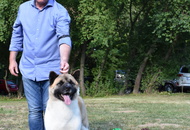 St Hubertus Hunting Dog Show CAC Kaposvár (H) & Jubilee Hunting Dog Show CAC Kaposvár (H)