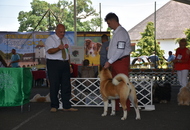 -18. Sárvár Summer CACIB Dog Show (H)
