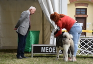 -18. Sárvár Summer CACIB Dog Show (H)