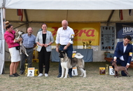 AAŐTKE Speciál CAC Kiállítás / AAŐTKE Specialty Show - Tolnanémedi
