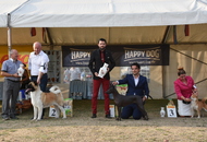 AAÓTKE Specialty Show & Club Show - Tolnanémedi