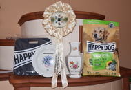 AAÓTKE Specialty Show & Club Show - Tolnanémedi