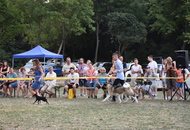 Gellén Tibor Memorial CAC II. Vasszécseny