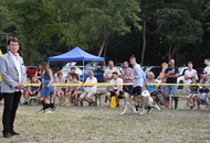 Gellén Tibor Memorial CAC II. Vasszécseny