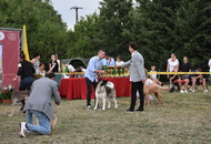 Gellén Tibor Memorial CAC II. Vasszécseny