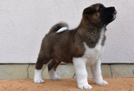 Infinity Of Danger Zone