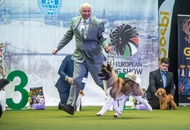 FeHoVa Winter Dog Show I. 09.02.2023 és FeHoVa Winter Dog Show III. 12.02.2023