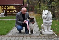 Magyar Spitz Egyesület CAC Klubkiállítás, Forster Vadászkastély