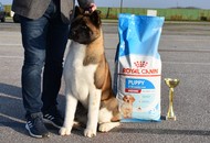 CAC Bjelovar (HR) – 04.03.2023