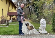 Magyar Spitz Egyesület CAC Klubkiállítás, Forster Vadászkastély