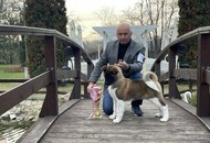 Magyar Spitz Egyesület CAC Klubkiállítás, Forster Vadászkastély