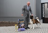 FeHoVa Winter Dog Show I. 09.02.2023 és FeHoVa Winter Dog Show III. 12.02.2023