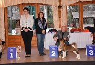 Magyar Spitz Egyesület CAC Klubkiállítás, Forster Vadászkastély