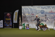 FeHoVa Winter Dog Show I. 09.02.2023 és FeHoVa Winter Dog Show III. 12.02.2023