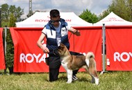 - 05.01. 2xCACIB Pécs