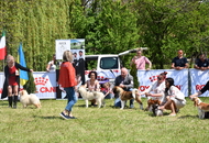 - 05.01. 2xCACIB Pécs