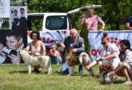 - 05.01. 2xCACIB Pécs