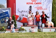 - 05.01. 2xCACIB Pécs