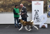 CAC Bjelovar (HR) – 04.03.2023