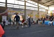 CAC Bjelovar (HR) – 04.03.2023