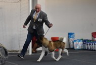 CAC Bjelovar (HR) – 04.03.2023