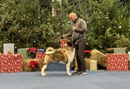 IHA Wels 2023 - Christmas Winner