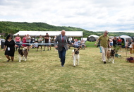 1. AAŐTKE Specialty Show - Tolnanémedi (H)