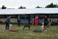 1. AAŐTKE Specialty Show - Tolnanémedi (H)