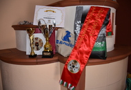 1. AAŐTKE Specialty Show - Tolnanémedi (H)