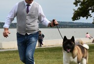 NDS Székesfehérvár - Agárd (H)