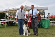 NDS Székesfehérvár - Agárd (H)