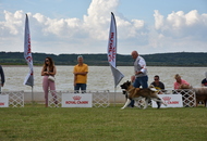 NDS Székesfehérvár - Agárd (H)