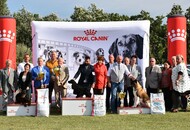 NDS Székesfehérvár - Agárd (H)