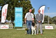 NDS Székesfehérvár - Agárd (H)