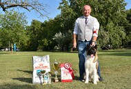 NDS Székesfehérvár - Agárd (H)