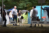 CACIB Osijek I. (HR)