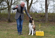 Hunting Dog Show CAC Kaposvár (HU)
