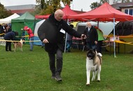 Esztergom 2xCAC Dog Show (H) 