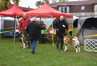 Esztergom 2xCAC Dog Show (H) 