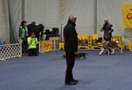 Esztergom 2xCAC Dog Show (H) 